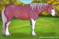 Horse Color:Watercolor Silver Brown Sabino 
