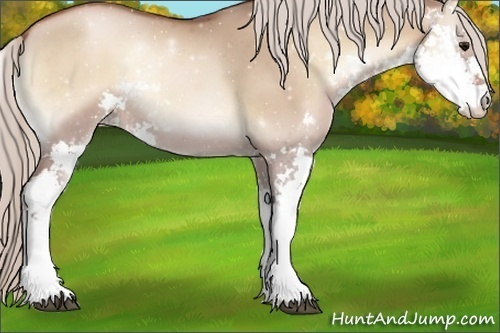 Horse Color:Silver Grullo Pearl Onyx Sabino