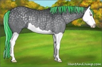 Horse Color:Painted Silver Black Chinchilla Splash Rabicano 