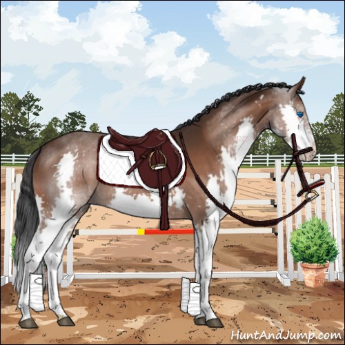 Horse Color:Brown Splash 
