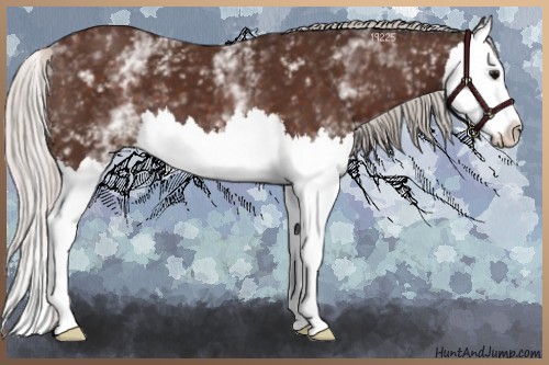Horse Color:White Spotted Silver Brown Sabino Splash