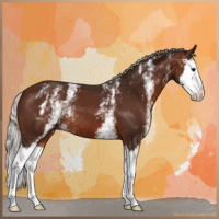 Horse Color:White Spotted Silver Brown Splash 