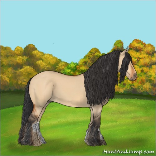 Horse Color:Bay Dun