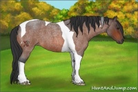 Horse Color:Bay Roan Tobiano 