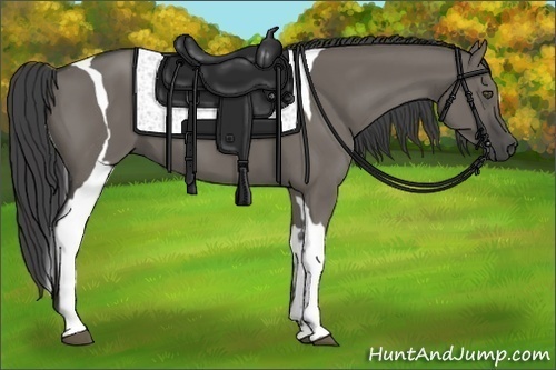 Horse Color:Smoky Grullo Tobiano