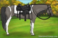 Horse Color:Smoky Grullo Tobiano