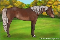 Horse Color:Silver Brown 