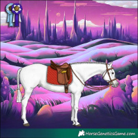 Horse Color:Gray Bay 