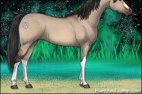 Horse Color:Brown Dun 