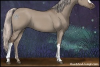 Horse Color:Silver Grullo 