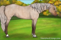 Horse Color:Silver Brown Roan Dun 