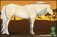Horse Color:White Spotted Silver Buckskin Pearl Sabino Rabicano 