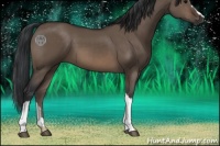 Horse Color:Brown Dun