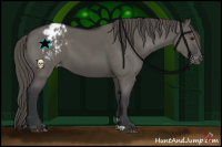 Horse Color:Grullo Varnish 