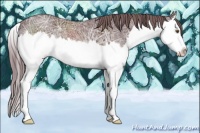 Horse Color:Chocolate Brown Chinchilla Ice Sabino Splash Appaloosa 