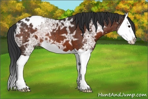 Horse Color:Brown Ice Splash Varnish 