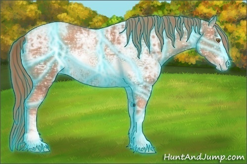 Horse Color:Thunderstruck Gold Champagne Ice Sabino 