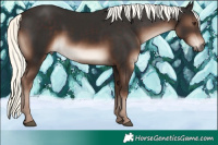 Horse Color:Liver Chestnut Mushroom 