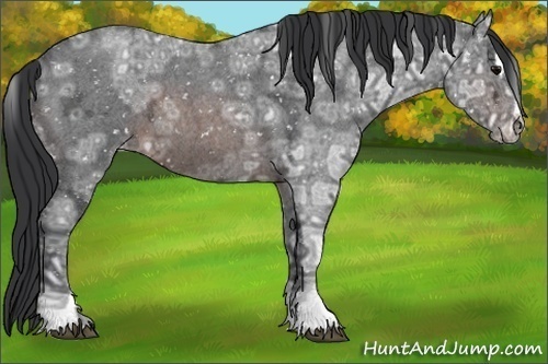 Horse Color:Brown Ice Roan Sabino Snowflake Varnish