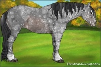 Horse Color:Brown Ice Roan Sabino Snowflake Varnish