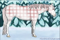 Horse Color:Plaid  White Spotted Silver Buckskin Chinchilla Pearl Onyx Sabino 