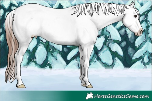 Horse Color:Brown Dun Tobiano Snowcap