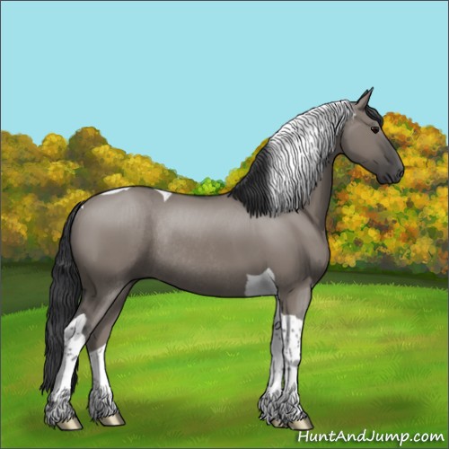 Horse Color:Grullo Tobiano Rabicano 