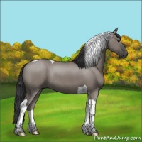 Horse Color:Grullo Tobiano Rabicano 