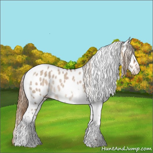 Horse Color:Liver Red Dun Tobiano Leopard Rabicano 