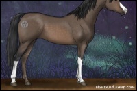 Horse Color:Brown Dun 