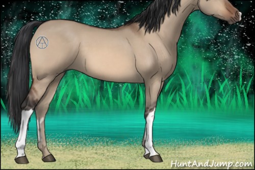 Horse Color:Brown Dun