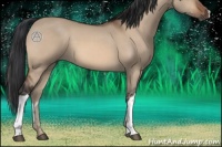 Horse Color:Brown Dun