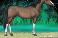 Horse Color:Brown Dun 