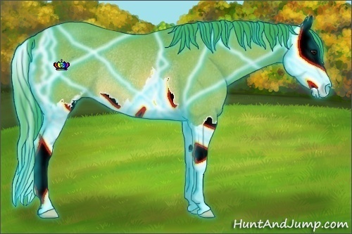 Horse Color:Thunderstruck Watercolor Bay Sabino Splash Rabicano