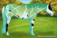 Horse Color:Thunderstruck Watercolor Bay Sabino Splash Rabicano