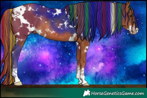 Horse Color:Painted White Spotted Chestnut Rabicano