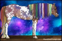 Horse Color:Painted White Spotted Chestnut Rabicano 