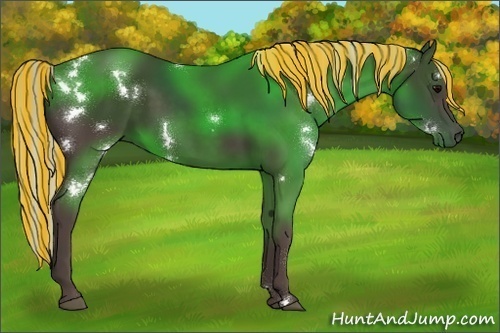 Horse Color:Painted White Spotted Silver Black Rabicano