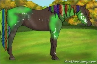 Horse Color:Painted White Spotted Liver Chestnut Rabicano 