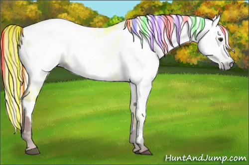 Horse Color:Gray Painted White Spotted Liver Chestnut Near Leopard Rabicano
