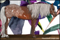 Horse Color:White Spotted Silver Bay Ice Rabicano 