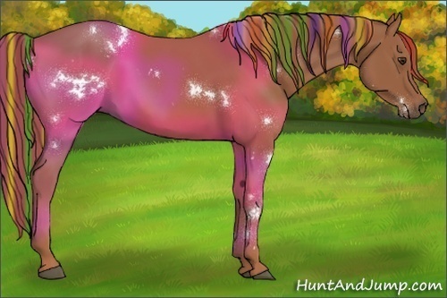 Horse Color:Painted White Spotted Chestnut Rabicano