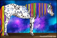 Horse Color:Painted White Spotted Liver Chestnut Appaloosa Rabicano