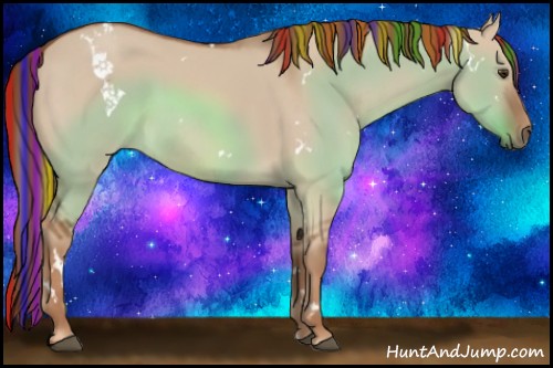 Horse Color:Painted White Spotted Red Dun Rabicano 