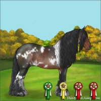 Horse Color:White Spotted Brown Rabicano
