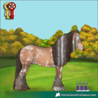Horse Color:White Spotted Sable Champagne 