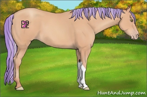 Horse Color:Painted Silver Amber Champagne
