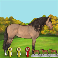 Horse Color:Bay Dun Sabino 