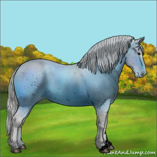 Horse Color:ERROR: UNKNOWN ANOMALY