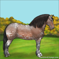 Horse Color:Bay Ice 